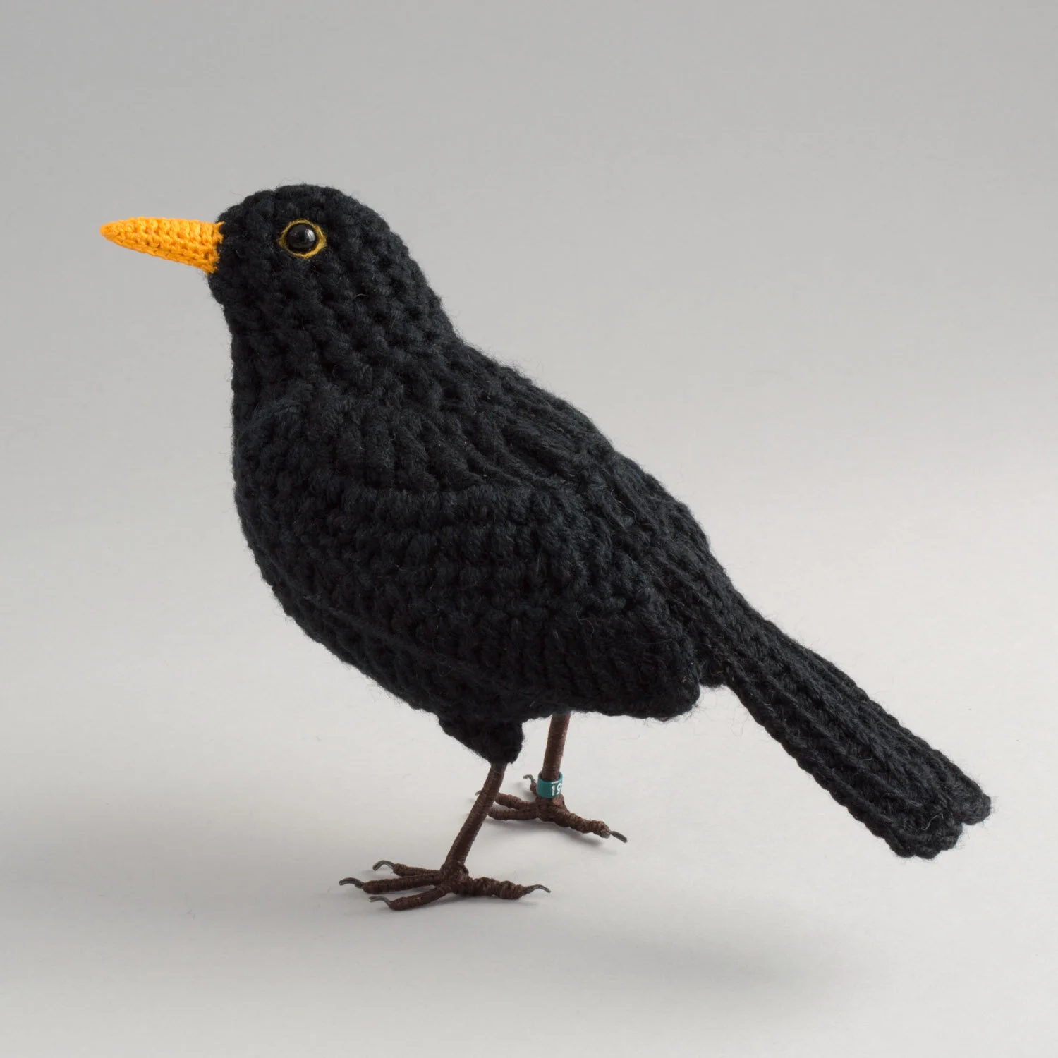 Blackbird — Jose Heroys